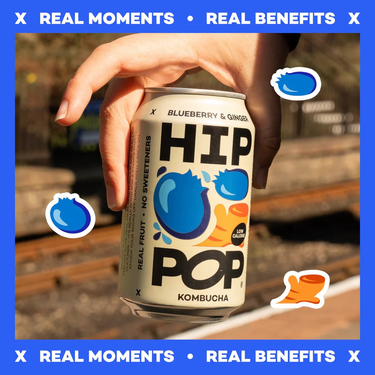 Hip Pop Blueberry Ginger Kombucha - Cafe Supply