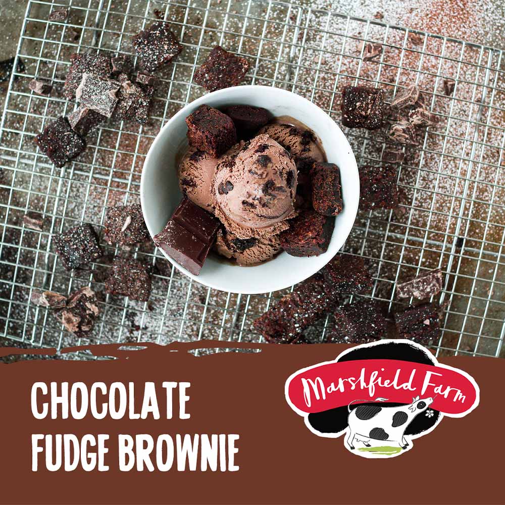 MARSHFIELD Chocolate Fudge Brownie Ice Cream - Cafe Supply