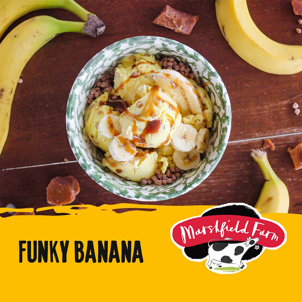 MARSHFIELD Funky Banana Ice Cream - Cafe Supply