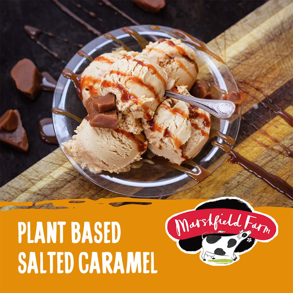 MARSHFIELD Plant Based Salted Caramel Ice Cream - Cafe Supply