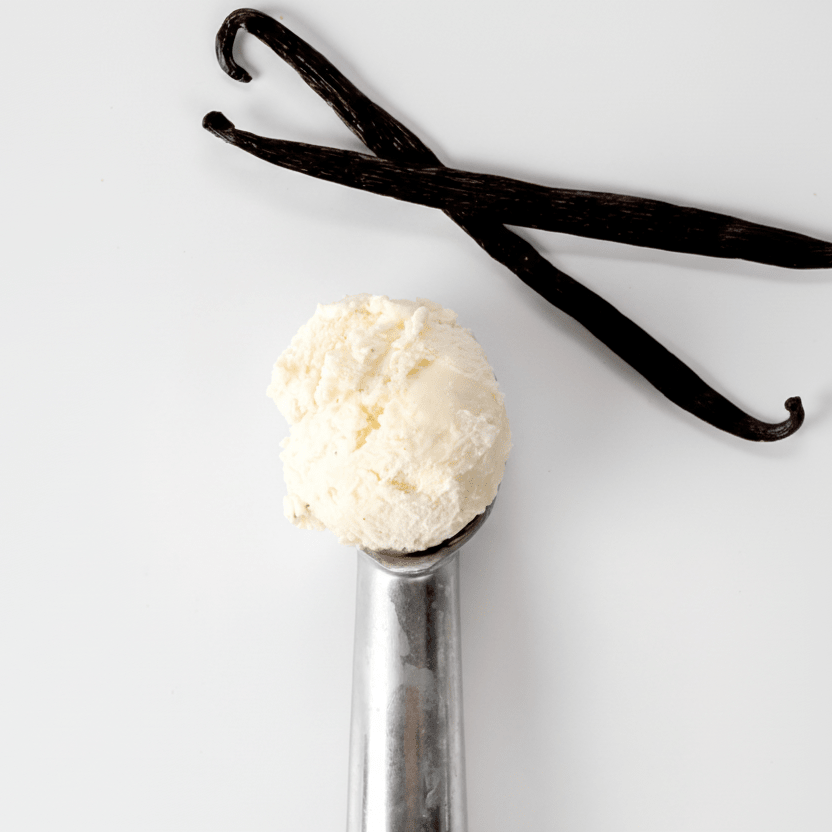 MARSHFIELD Plant Based Vanilla Ice Cream - Cafe Supply