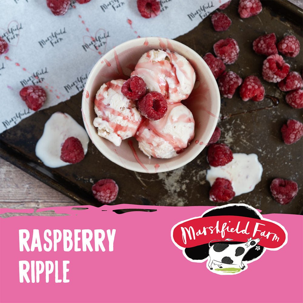 MARSHFIELD Raspberry Ripple Pavlova Ice Cream - Cafe Supply