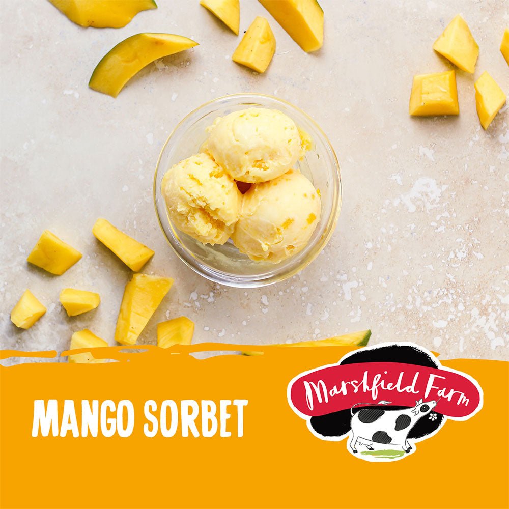 MARSHFIELD Vegan Mango Sorbet - Cafe Supply